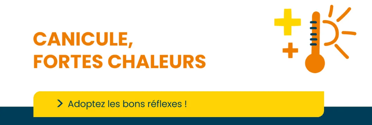 Canicule, adoptons les bons réflexes