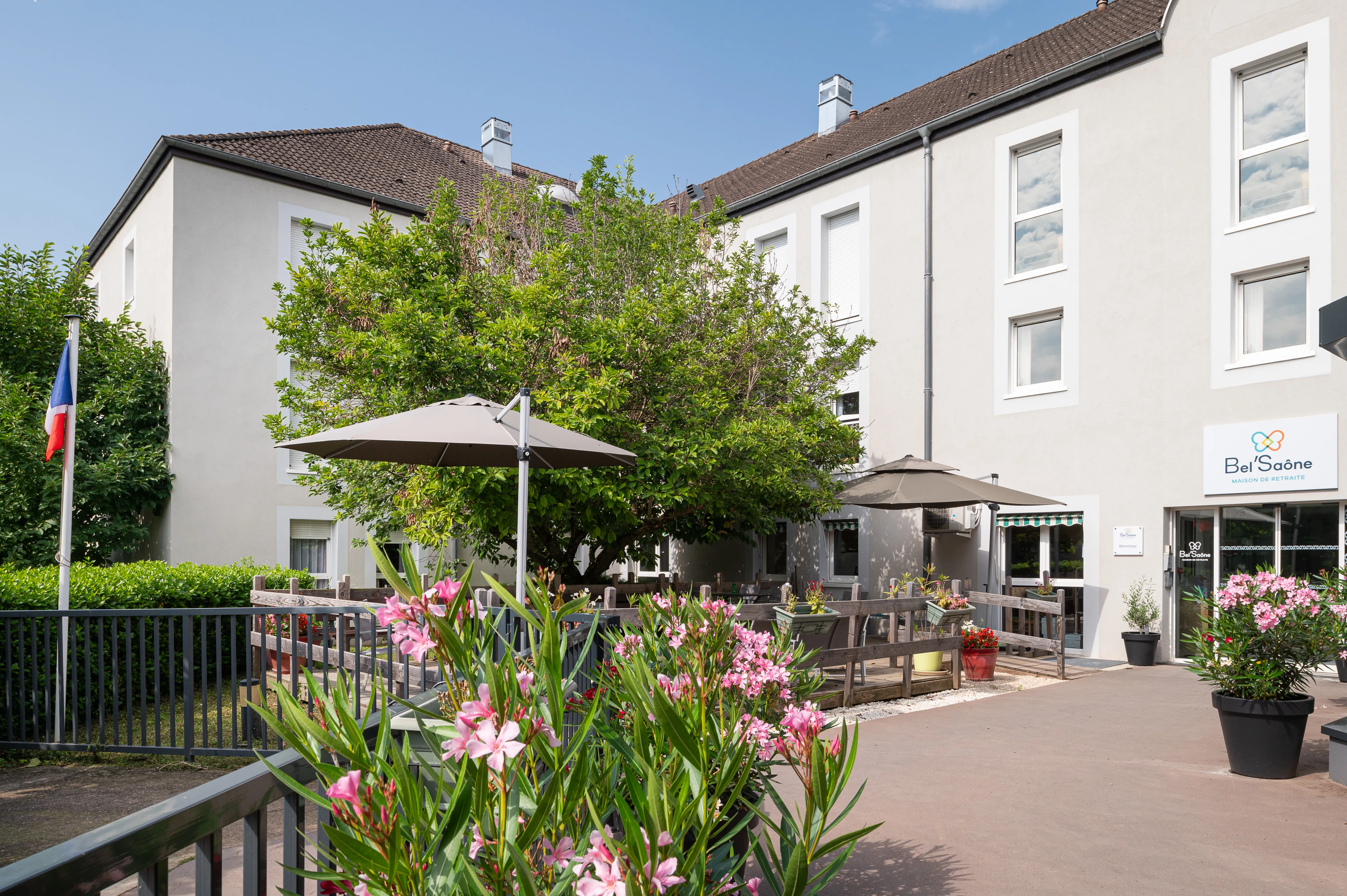 ASPIM___730_510__249_249__20780