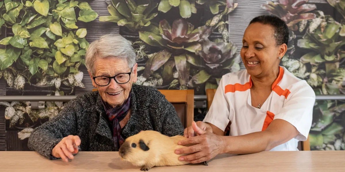 2025-KORIAN-MAS%2520DE%2520LAUZE-30-NIMES_10