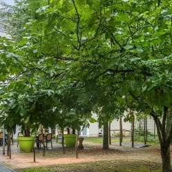 2020-LES%2520MATHURINS-BAGNEUX_37