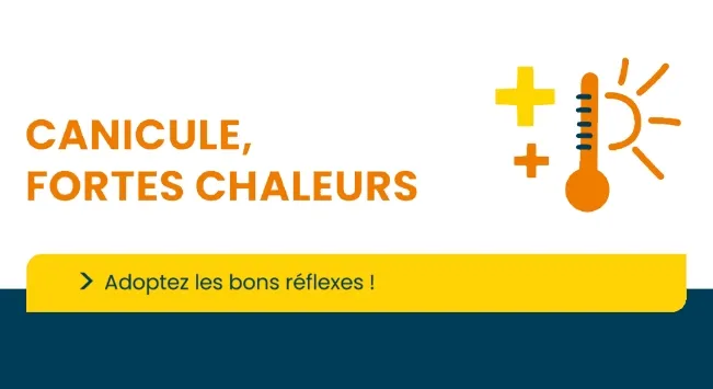 Canicule, adoptons les bons réflexes